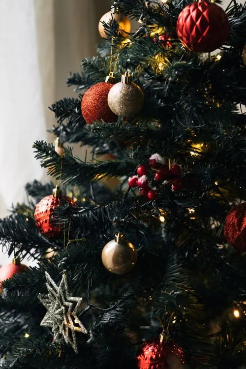 Close-up of Christmas Decorations · Free Stock Photo