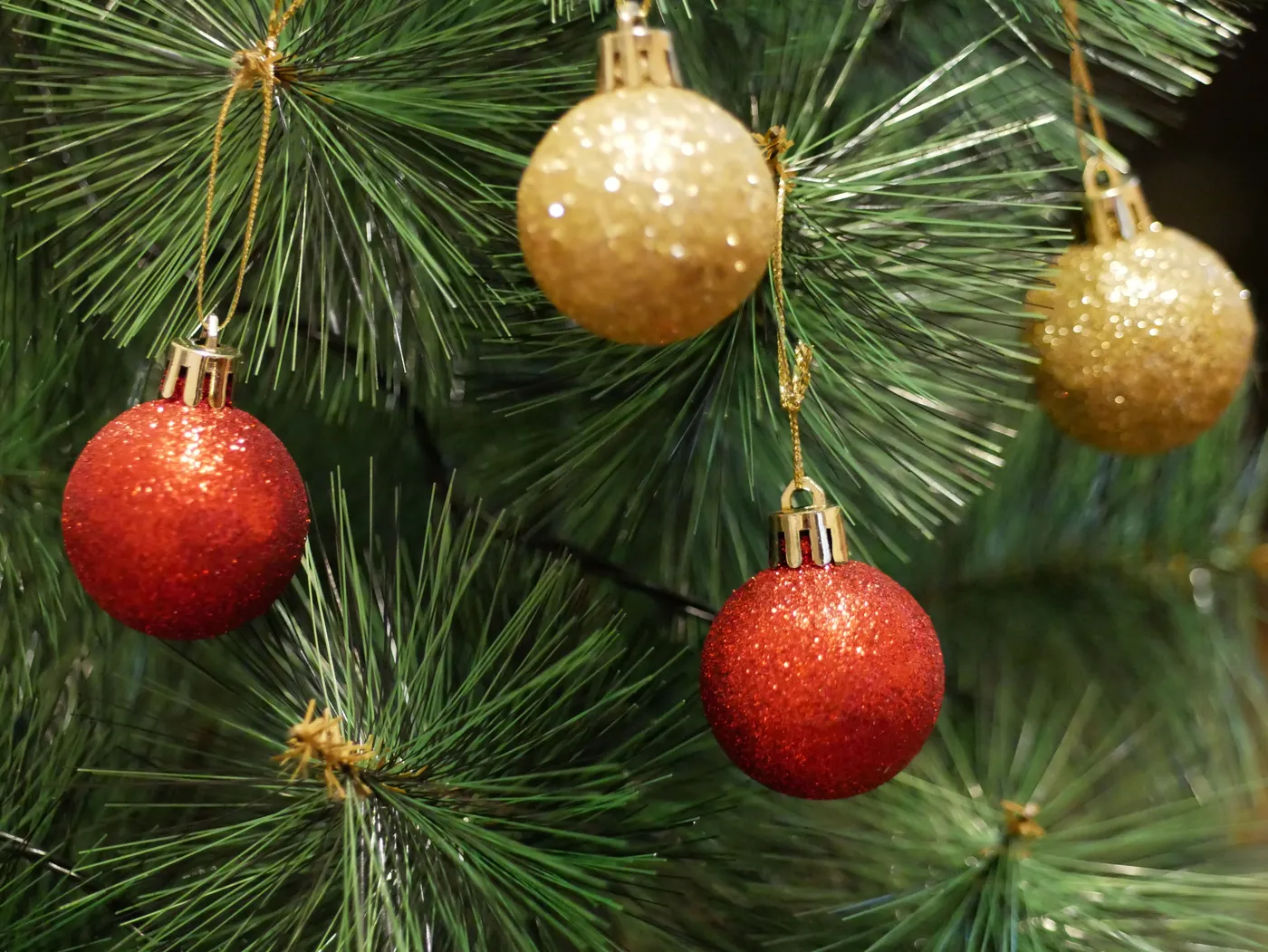 Close-up of glittery red and gold Christmas ornaments hanging on a green tree branch.