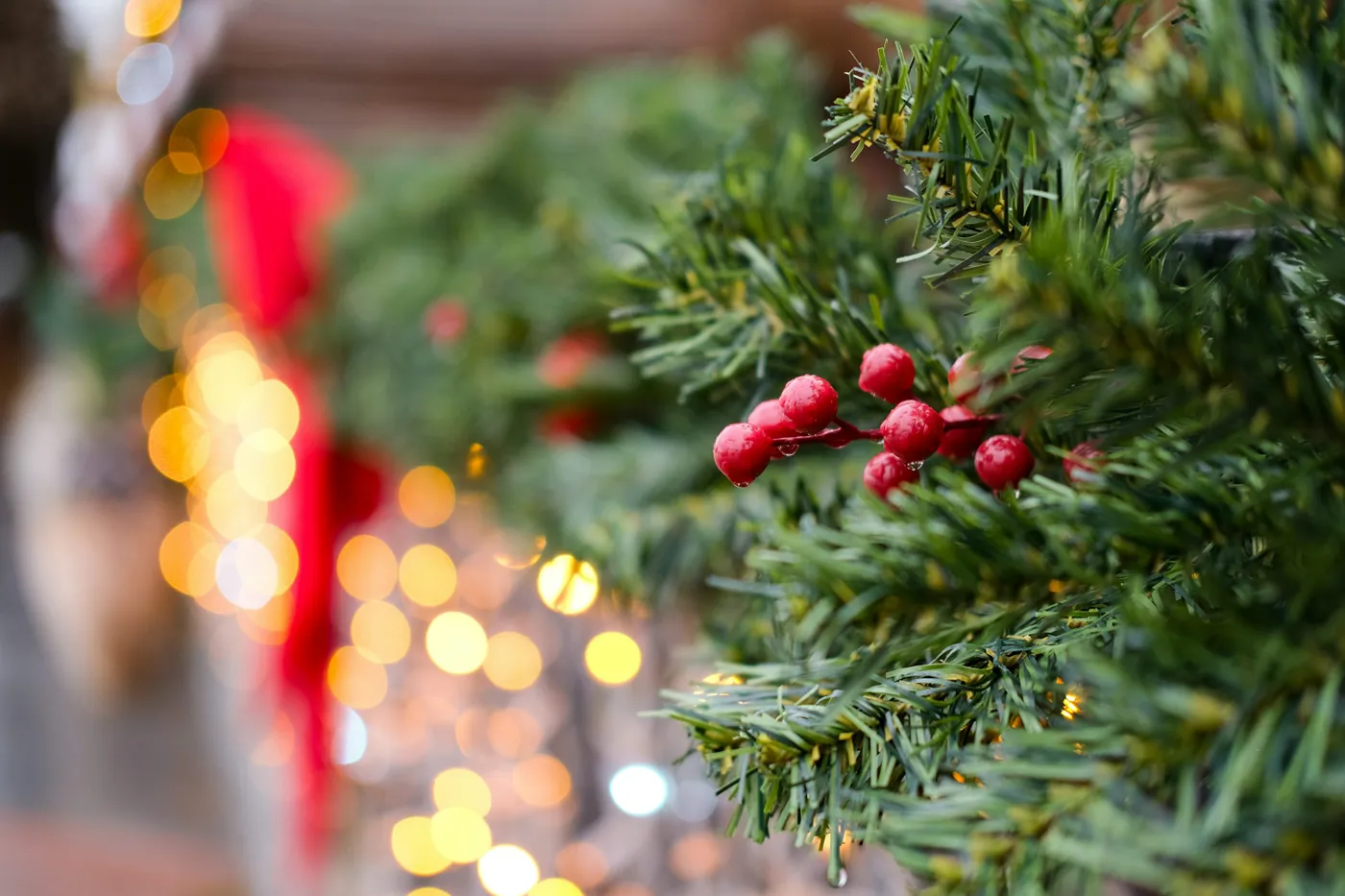 Close up of red berries on a christmas garland - Free Photo on Unsplash