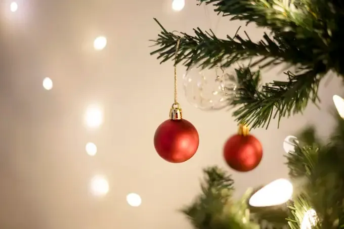 Closeup of one green Christmas tree bulb ornament among red bulbs on white background studio portrait - SuperStock