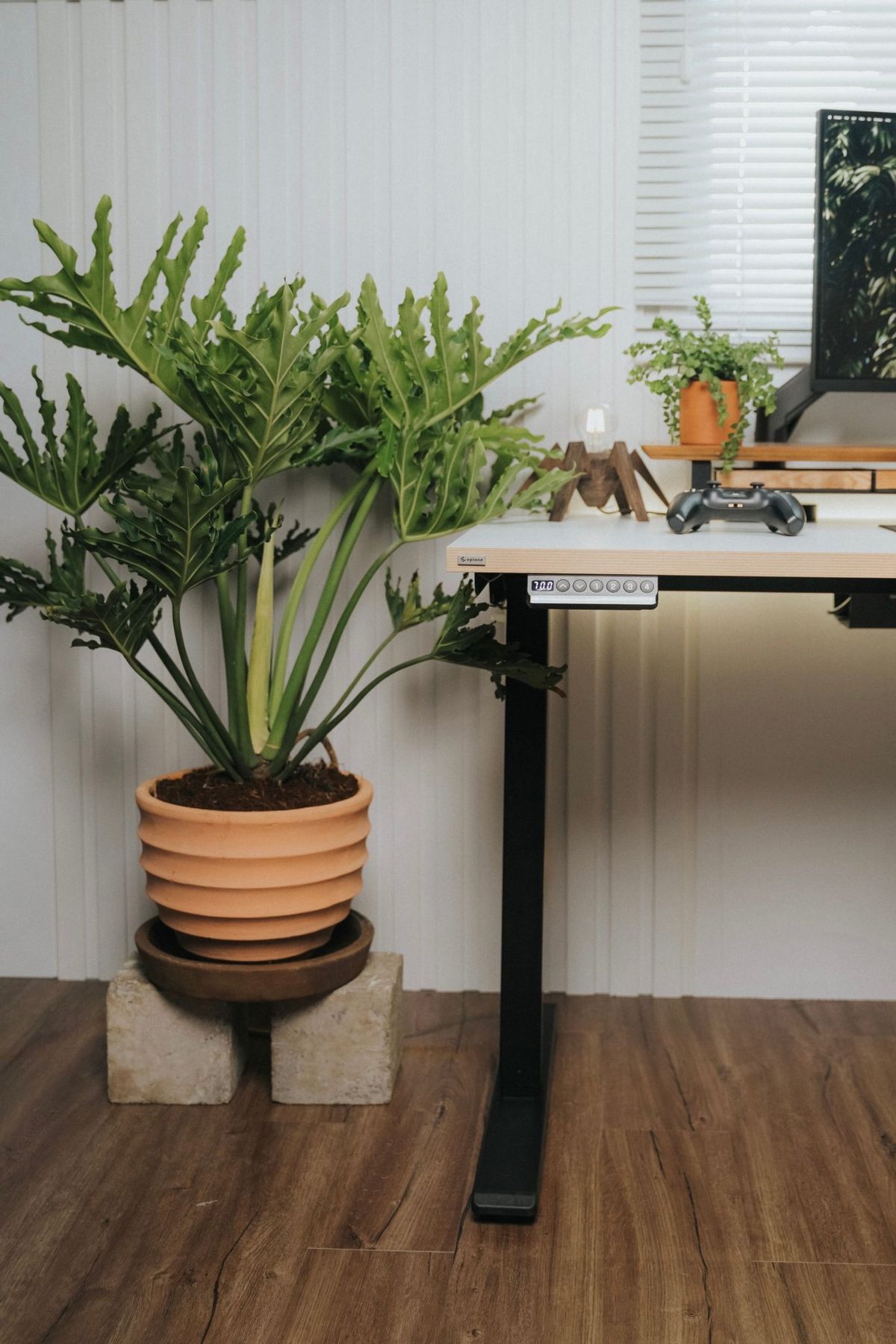Contemporary home office setup featuring potted plants and sleek modern furniture for a tranquil workspace.