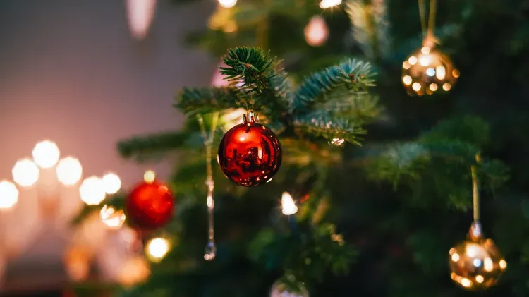 Could this be Ireland's most expensive Christmas tree?