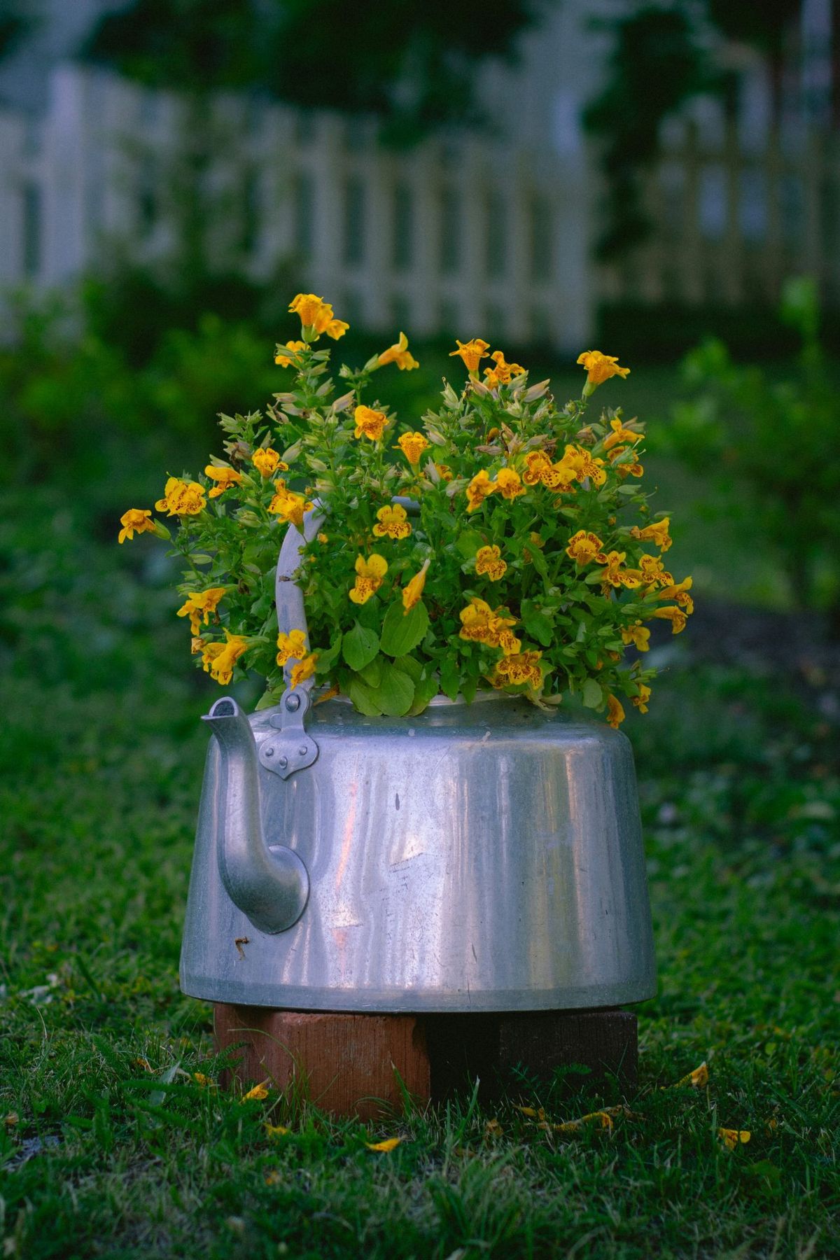 Creative flowerbed