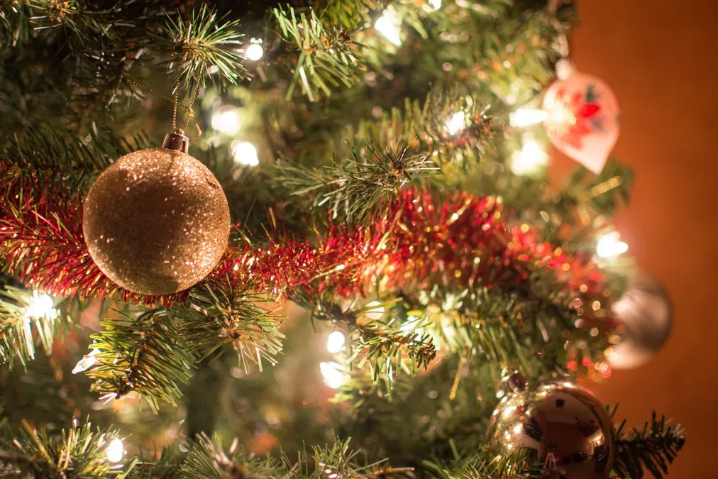 Dawson County continues tradition of recycling Christmas trees - Dawson  County News