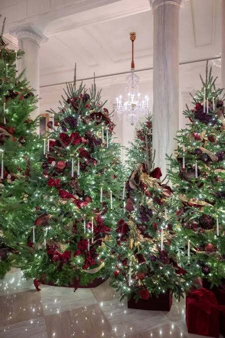 Dazzling Celebrity Christmas Trees | HGTV