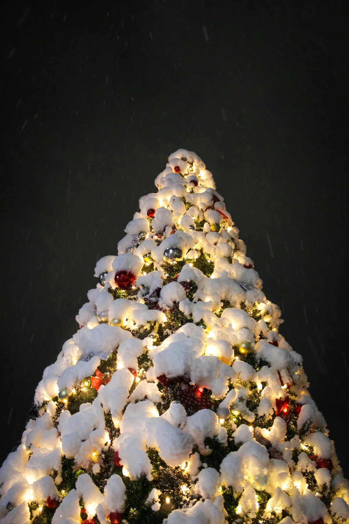 Decorated Christmas tree covered in snow