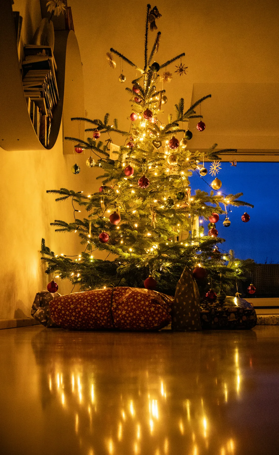 Decorated christmas tree with presents and reflection - Free Photo on  Unsplash