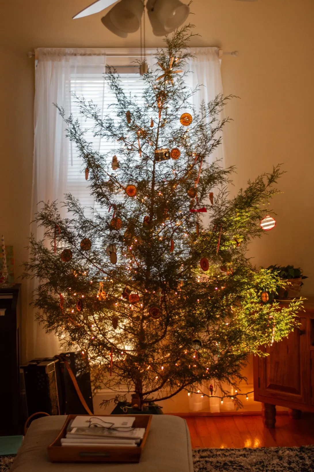 Decorating Our Home for Christmas – Allison Marie