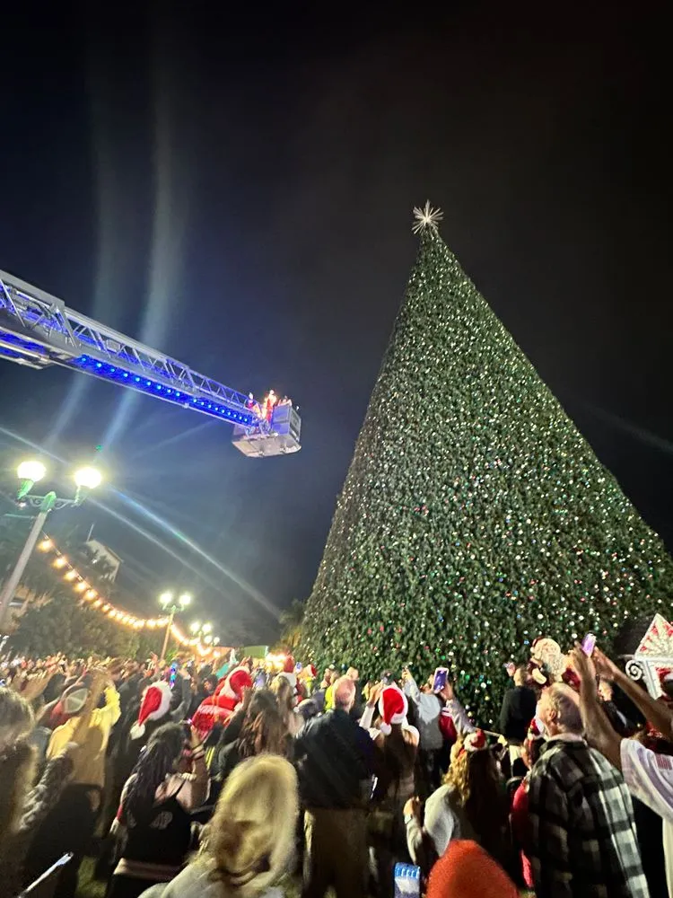 Delray's 100 ft Christmas Tree & Holiday Village