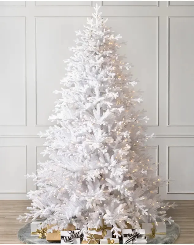 Denali White® Christmas Tree - Grow Xmas Trees