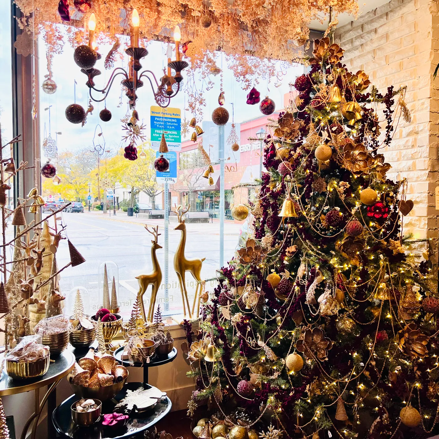 Discover the Magic of Our Christmas Displays! - Centro Garden