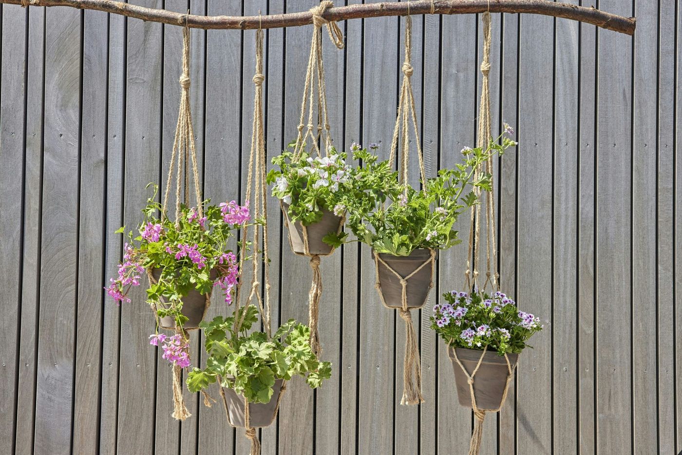 DIY garden ideas. beautiful home made hanging pots with geraniums. Image credit: Pelargonium for Europe