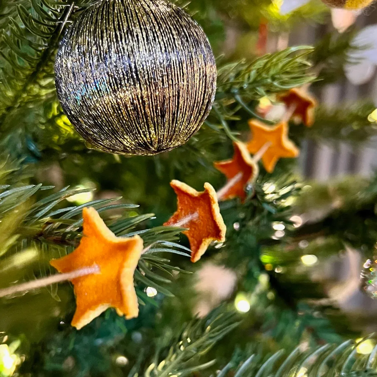 Dried Orange Peel Christmas Ornaments Orange Dried Orange Peel Stars Mud Bloom