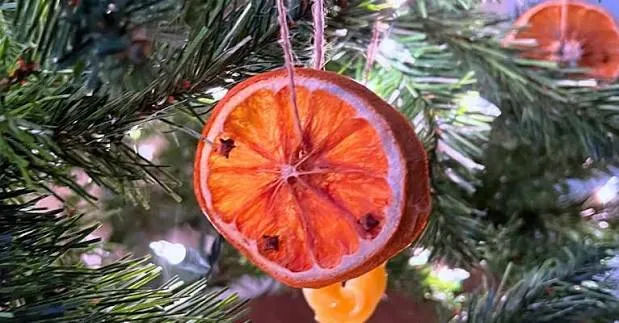 Dried Orange Peel Christmas Ornaments Orange Dried Orange Peel Stars Mud Bloom