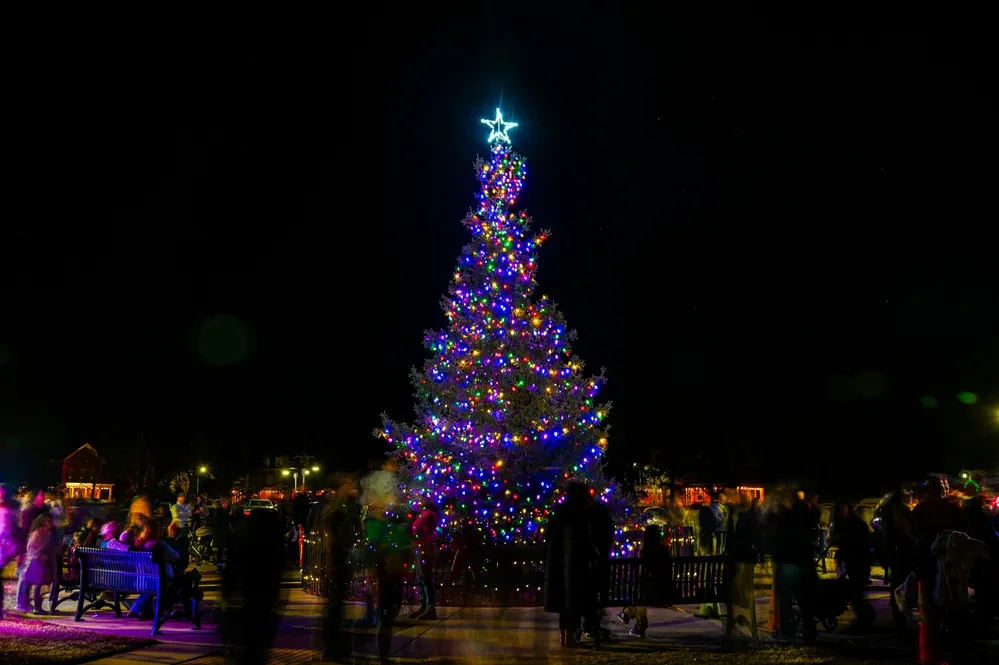DVIDS - Images - 90 MW annual tree lighting [Image 5 of 5]