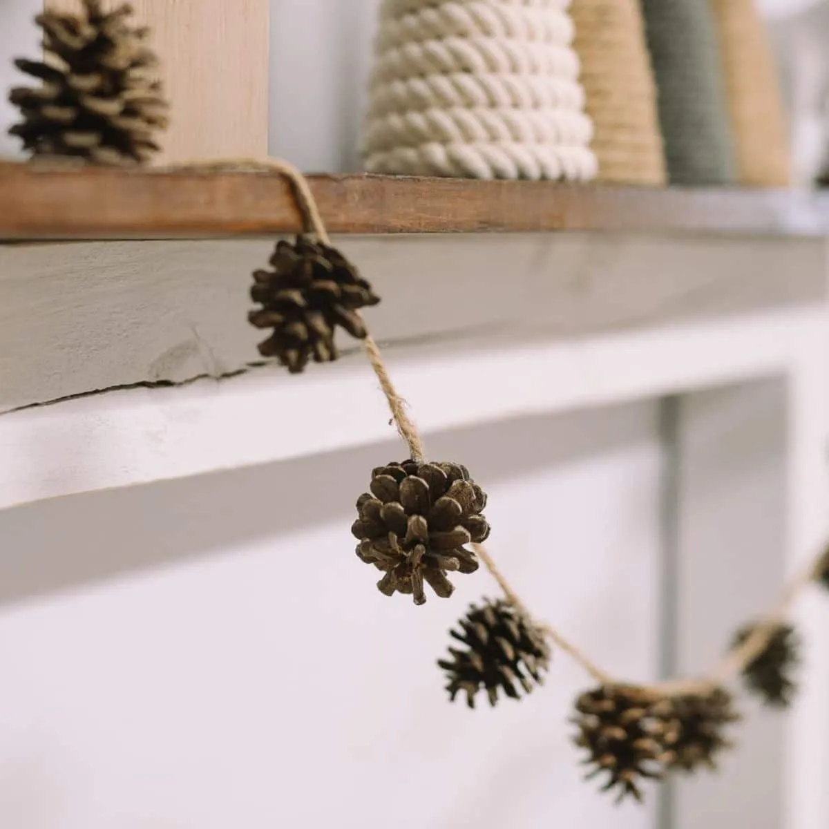 Easy DIY Pinecone Crafts - Laura Radniecki