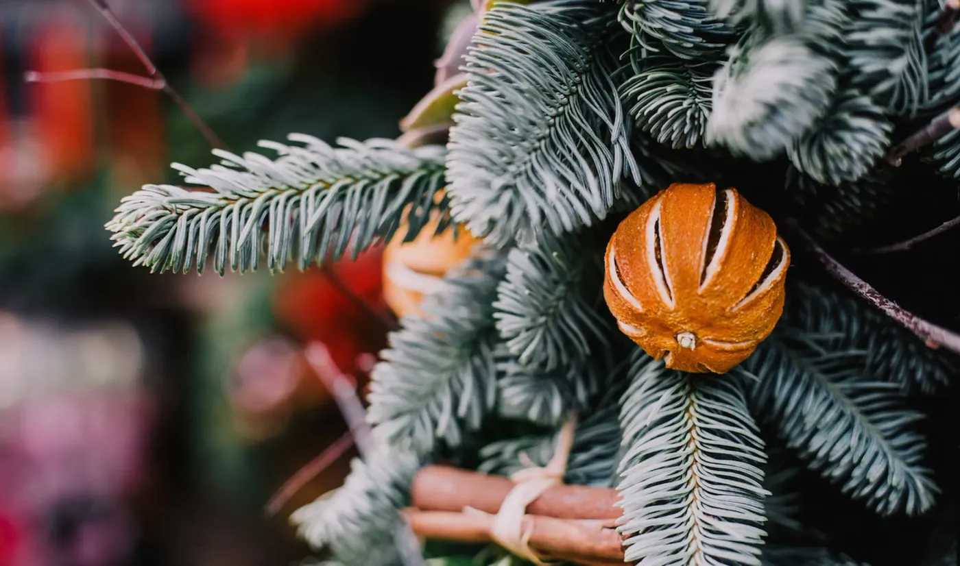 Edinburgh Christmas Markets - Dates and Opening Hours
