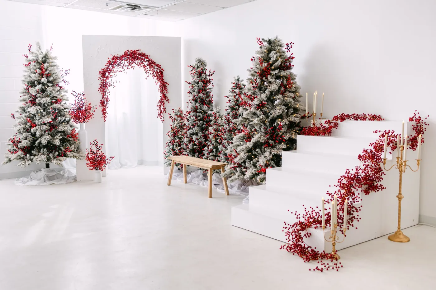 Elegant, Berry-Inspired Christmas In A White Studio, St Paul, MN |  Production | Peerspace