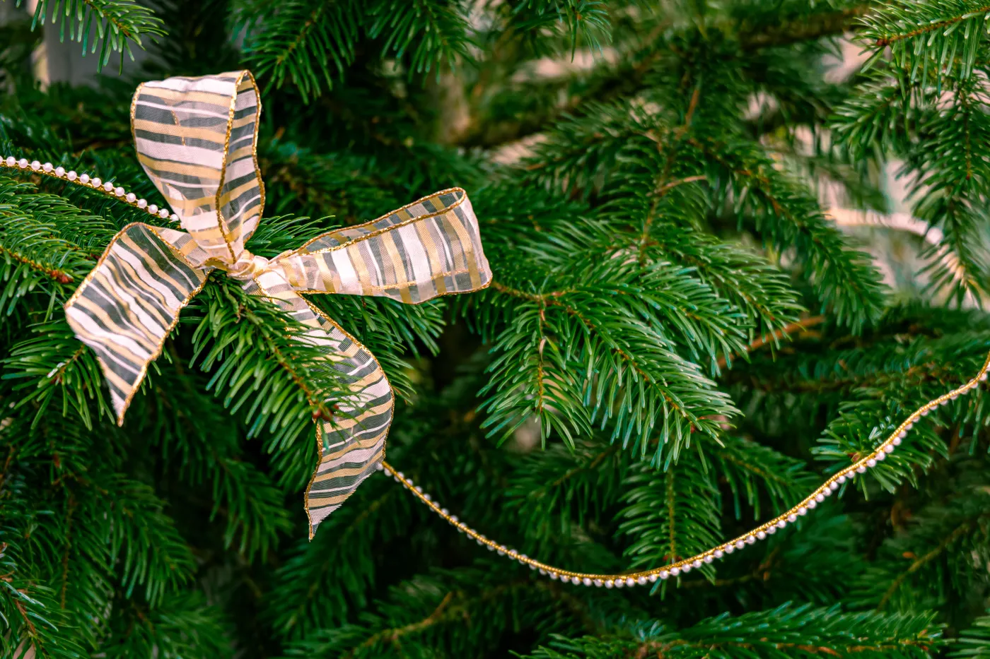Elegant Christmas tree branch adorned with a striped ribbon and hanging ornament for festive decor.