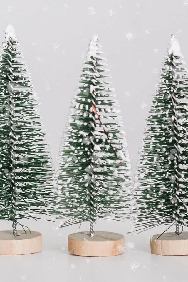 Enchanted Evergreens Collection - Julehandel 2