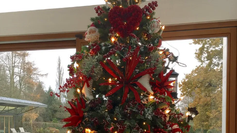 Everton manager changes 'red' Christmas tree after fans' complaints - BBC  News