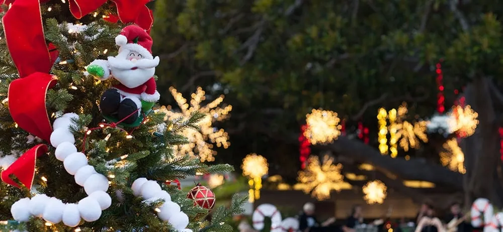 Everything To Do In Santa Monica This Winter | Fairmont Miramar