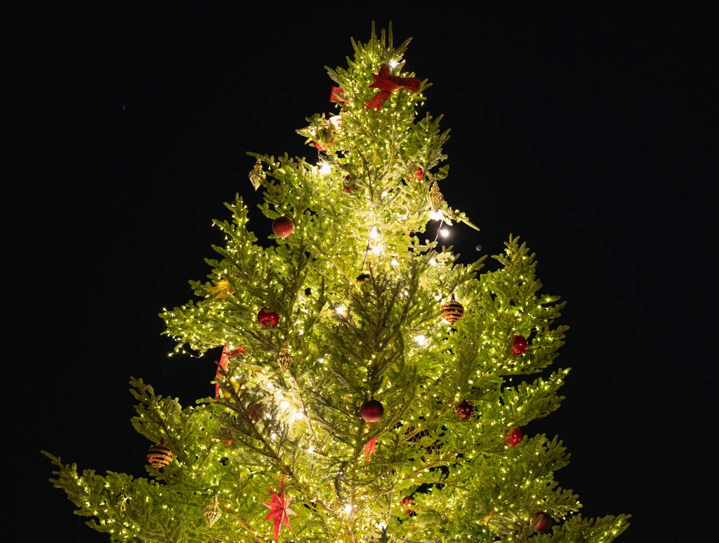 Fayetteville Christmas Tree Lighting, Holiday Lights - WKML 95.7