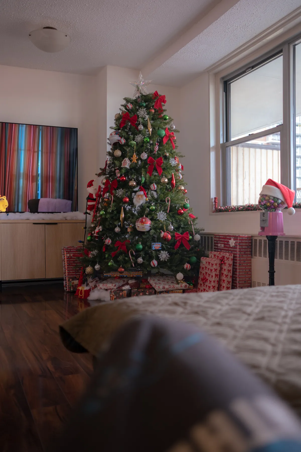 Festive Christmas Tree in Cozy Living Room · Free Stock Photo