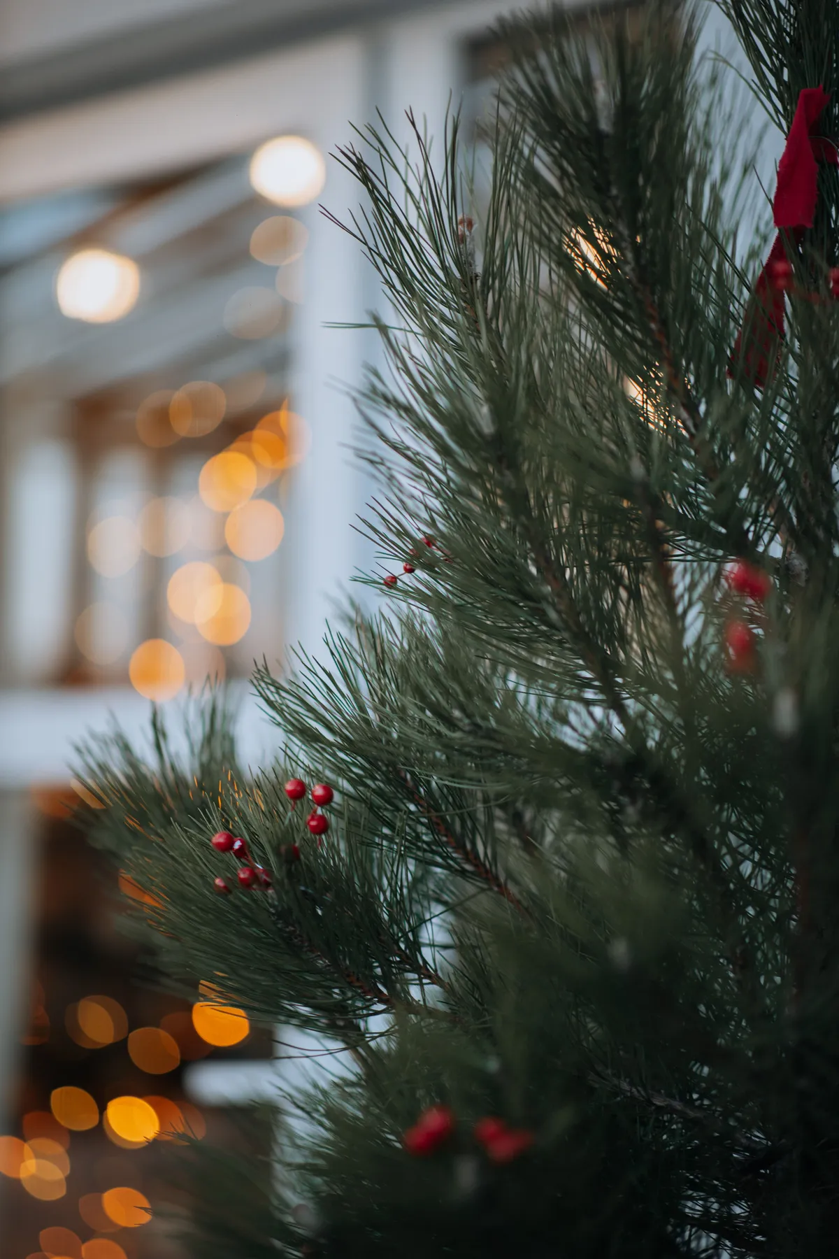 Festive Christmas tree with berries and bokeh lights in the background, creating warm holiday ambiance.