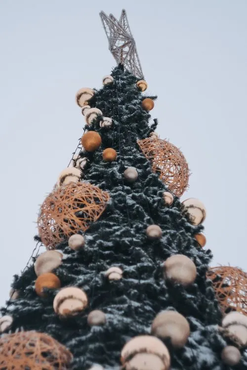 Festive Christmas Tree with Glowing Lights · Free Stock Photo