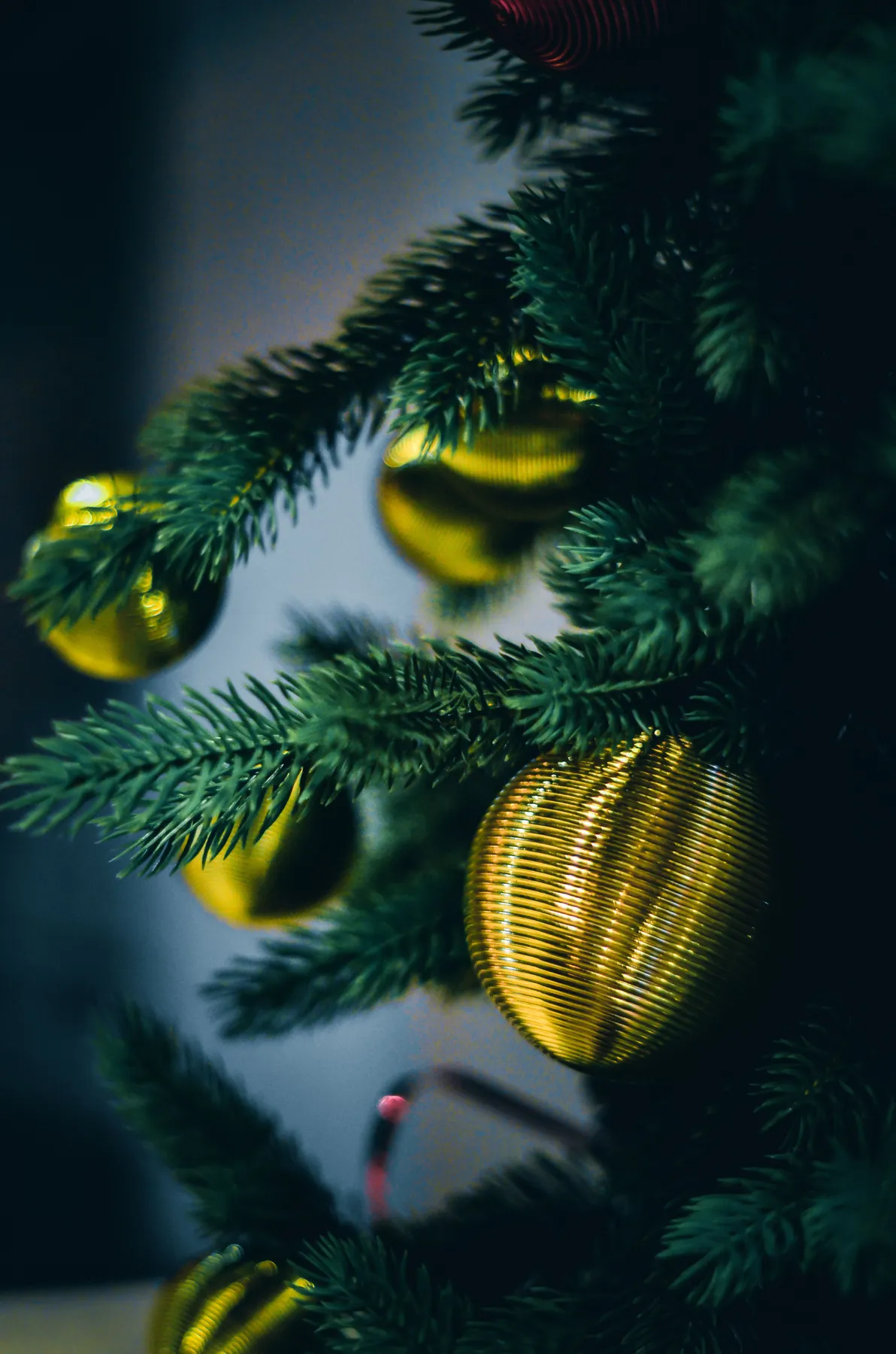 Festive close-up of a Christmas tree with golden ball ornaments in dim lighting.