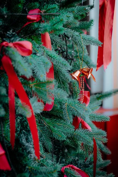 Festive Red Ribbons on Christmas Tree Branches · Free Stock Photo