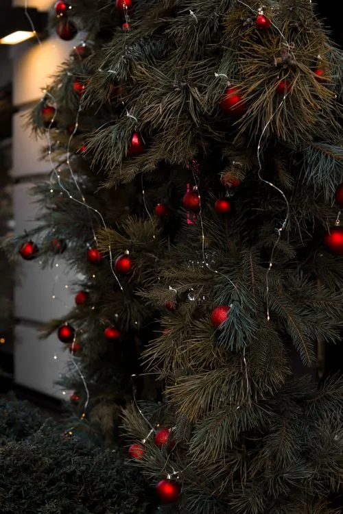 Festive Red Ribbons on Christmas Tree Branches · Free Stock Photo