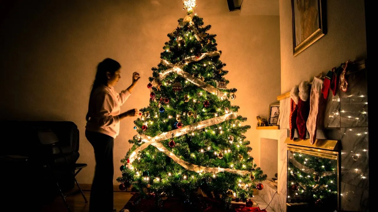 Fresh Christmas Trees Near Me: Complete NYC Delivery Guide 2025 – AA Christmas Trees