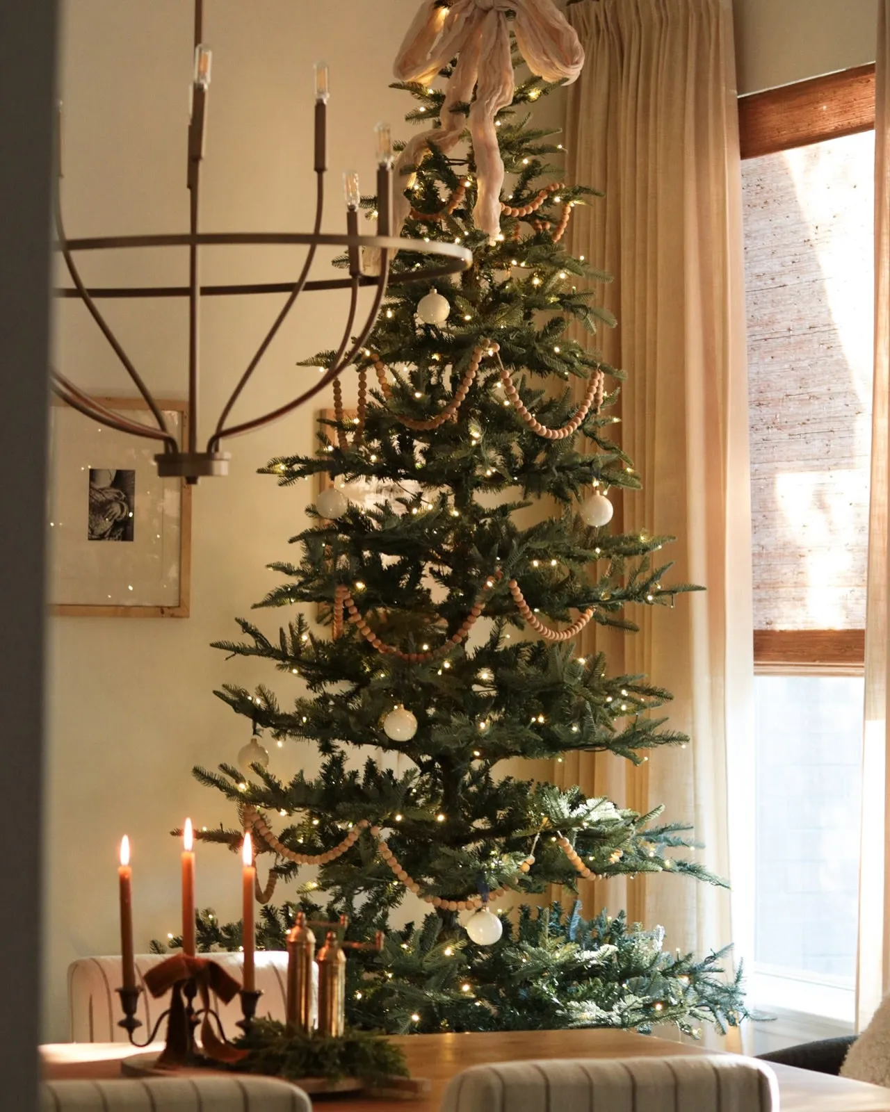 Fresh Cut Christmas Trees - Esposito Garden Center Freshly Cut Noble Fir Live Christmas Tree