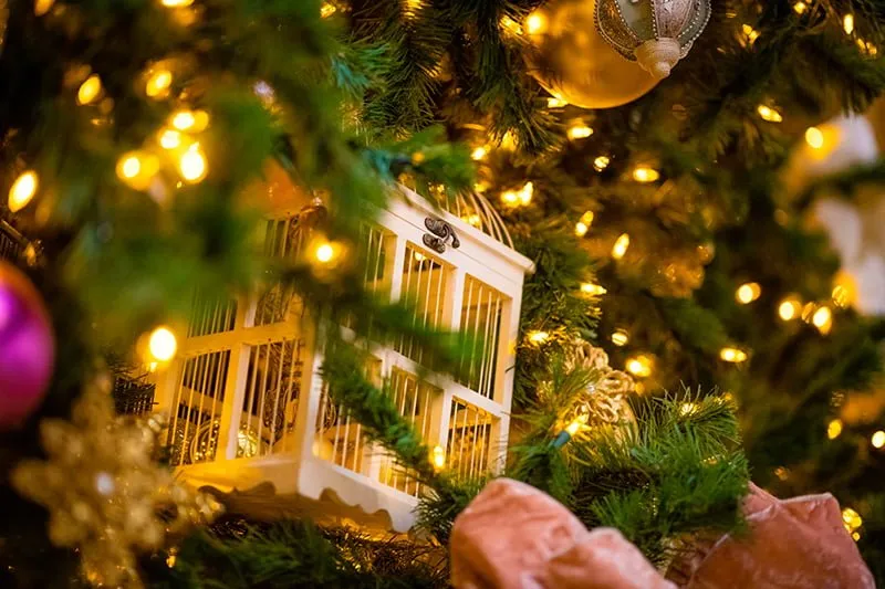 Grand Floridian at Christmas - Disney Tourist Blog