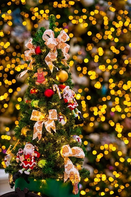 Grand Floridian at Christmas - Disney Tourist Blog
