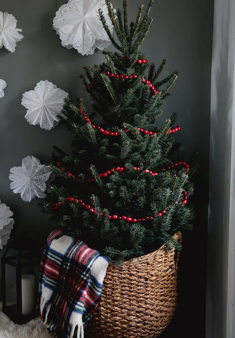 Homemade Cranberry Garland How To Make A DIY Cranberry Garland