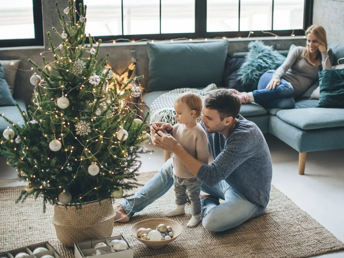 How to Care for a Potted Christmas Tree - Business Insider