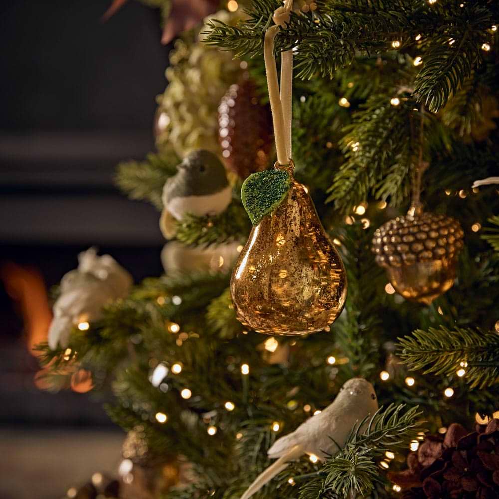 How to Choose a Christmas Tree │ Cox & Cox