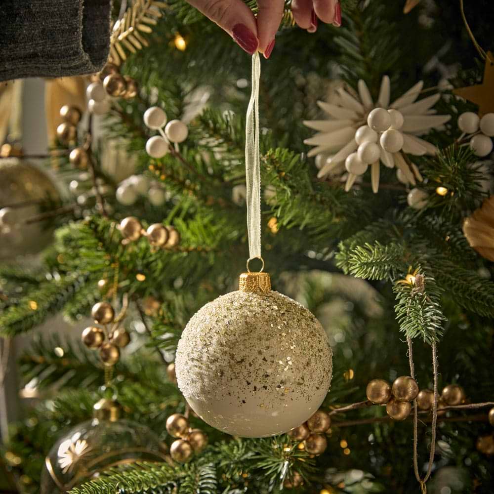 How to Choose a Christmas Tree │ Cox & Cox