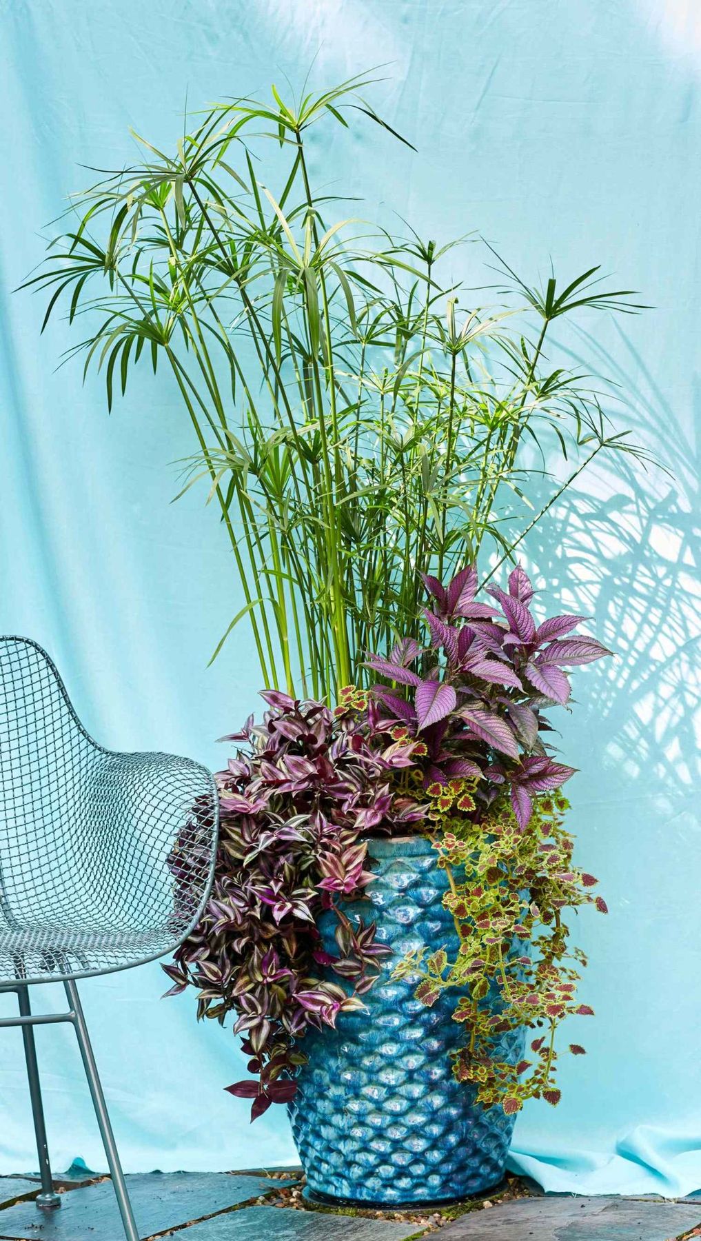 How to Create Beautiful Tropical Planters and Container Gardens