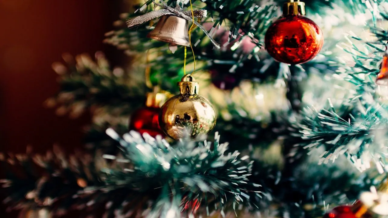 How to donate old lights, Christmas trees in Kentucky