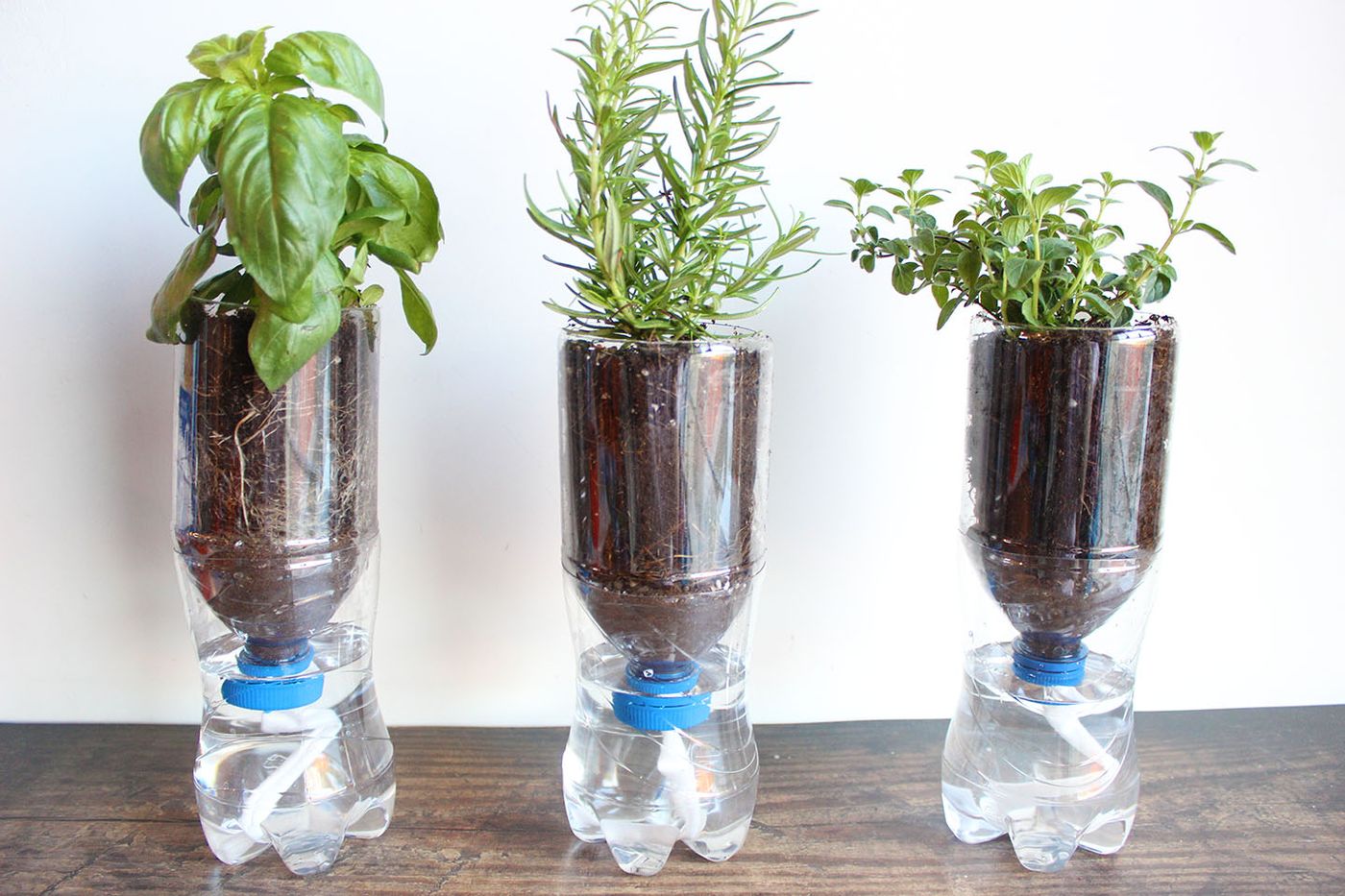 How to Make DIY Self-Watering Planters | ehow