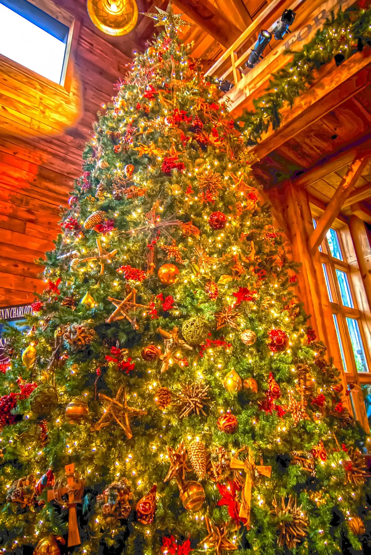 Huge christmas tree – Free Public Domain Image | Public Domain Pictures