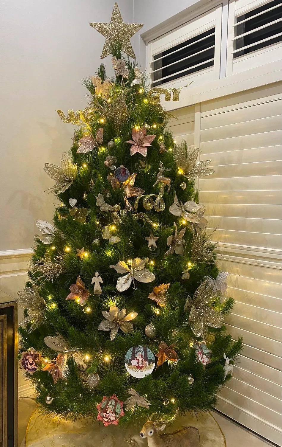 Keep your real Christmas Tree alive & fresh in December – Merlino's Christmas Trees
