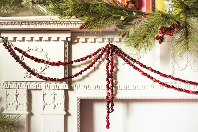 Lars Classic Christmas - Cranberry Garland - Ben S (4 of 4) - The House That Lars Built
