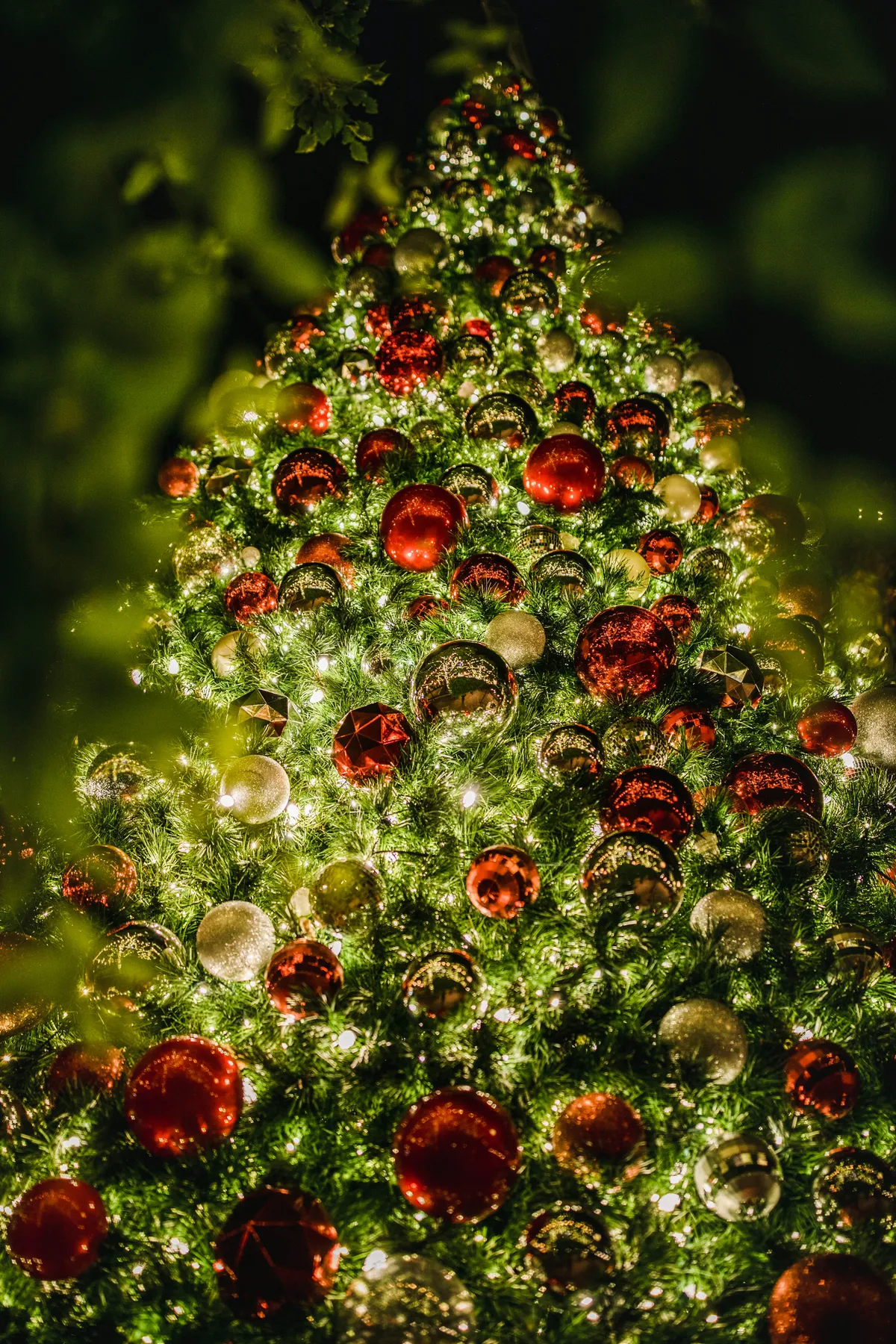 Lighted red and green high-rise Christmas tree during night time - Free Photo on Unsplash