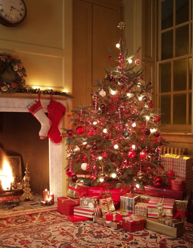 Maine Charges $5 For You To Cut Down Your Own Christmas Tree