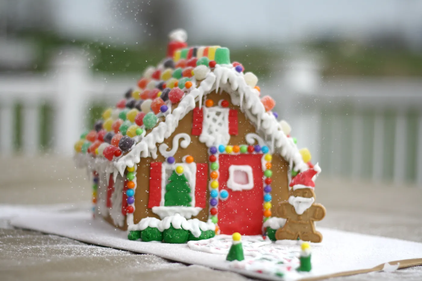 Merry Christmas from the Elephant Eats Kitchen!! -